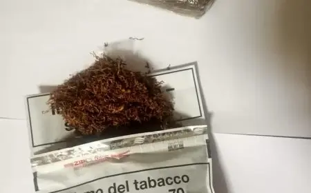 الإفتاء: الإسلام يُحرم الحشيش وجميع المخدرات