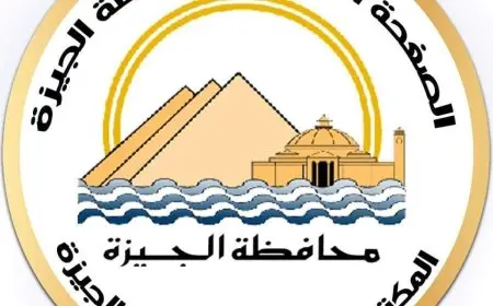 محافظة الجيزة: استعادة الكهرباء والمياه للمناطق المتأثرة بعطل محطة جزيرة الذهب خلال ساعة