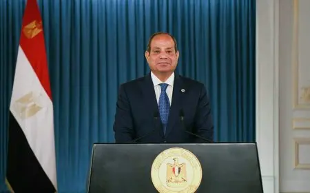 توجيه رئاسي بضرورة تسريع توطين الصناعات التعدينية وتعزيز الاستثمارات في هذا القطاع