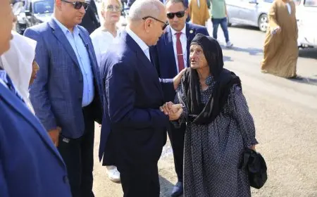 نفسي في لحمة.. محافظ القاهرة يلبي طلب سيدة مسنّة في الجمالية