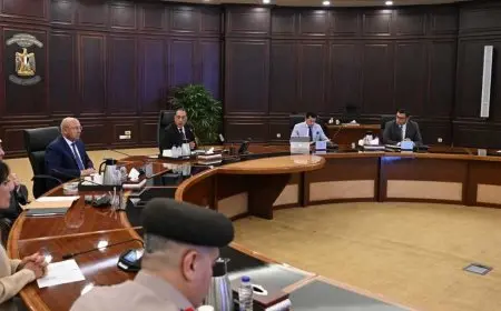 تحذير عاجل من الحكومة بخصوص ظاهرتي إلقاء الحجارة على القطارات وتعاطي السائقين للمخدرات