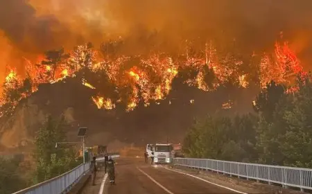 حرائق تركيا| النيران تقترب من رابع أكبر مدينة.. وأردوغان: تمت السيطرة على أكثر من 3 آلاف حريق