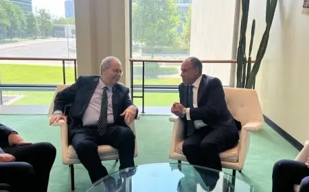 اجتماع وزير الخارجية والهجرة بنائب رئيس الوزراء اللبناني