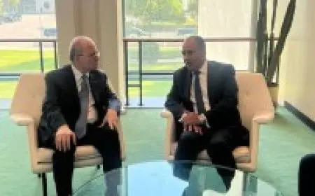 وزير الخارجية: مصر ترفض تصفية القضية الفلسطينية عبر مخططات التهجير