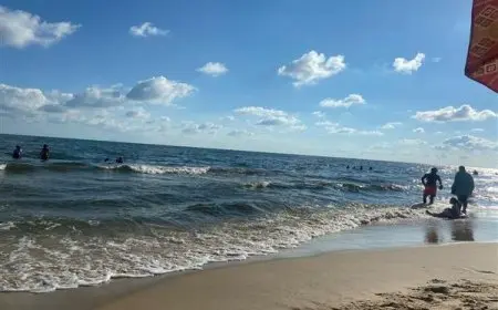 انتعاش رحلات اليوم الواحد في جمصة.. وتنظيم يومي لفعاليات النظافة والإنقاذ