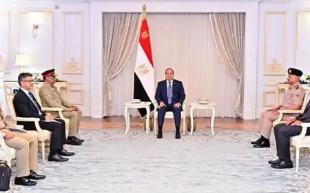 الرئيس السيسي يلتقي رئيس أركان القوات المسلحة الباكستانية لبحث التعاون العسكري المشترك