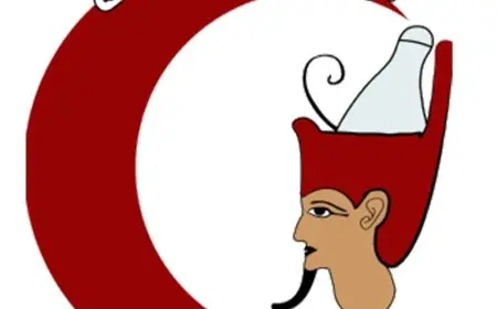 نتيجة الفرقة الأولى بكلية الطب في سوهاج تثير الاستنكار.. نسبة الرسوب 46%