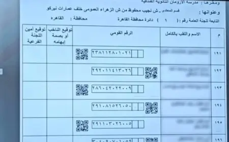 125 لجنة فرعية.. تفاصيل استعدادات انتخابات مجلس الشيوخ 2025