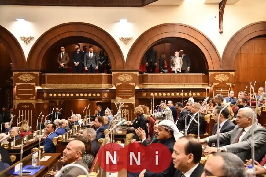 انتخابات مجلس الشيوخ للمصريين في الخارج يومي 1 و2 أغسطس