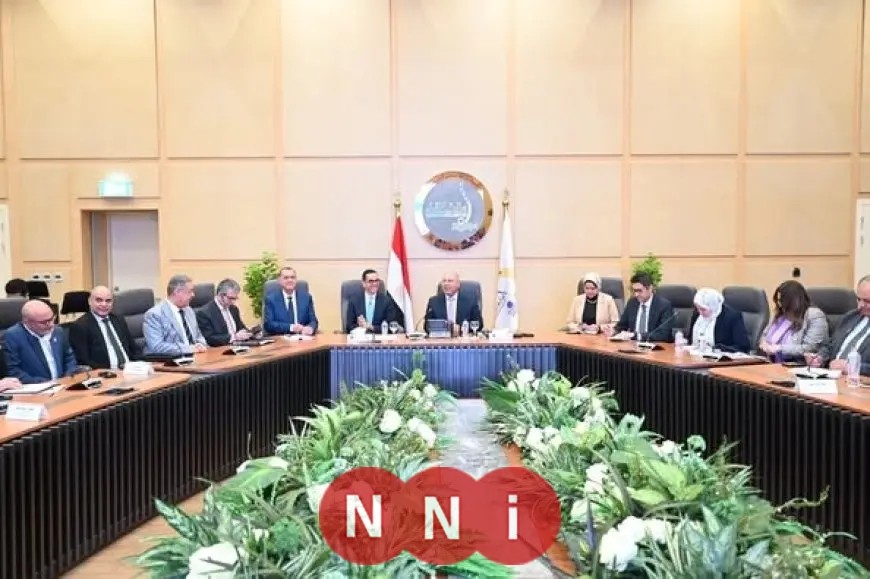 مصر تعزز الانتقال إلى السيارات الكهربائية من خلال إجراءات جذابة للمصنعين المحليين والمصدرين