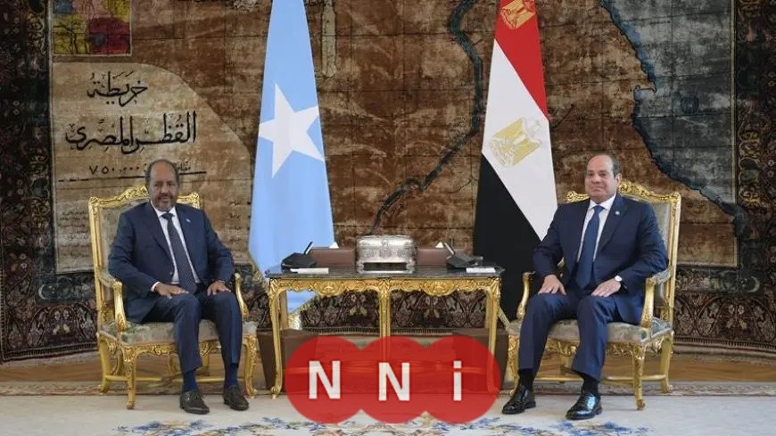 الرئيس السيسي يجري مباحثات مع نظيره الصومالي حول الأوضاع الإقليمية