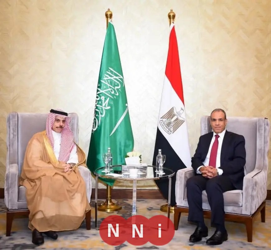وزير الخارجية يؤكد الرفض التام لأي محاولات يائسة للتأثير على العلاقات المصرية السعودية