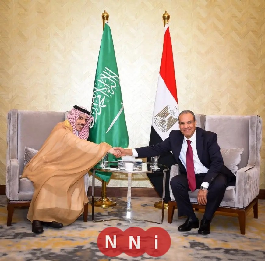 وزيرا خارجية مصر والسعودية يناقشان آخر التطورات في غزة وسوريا