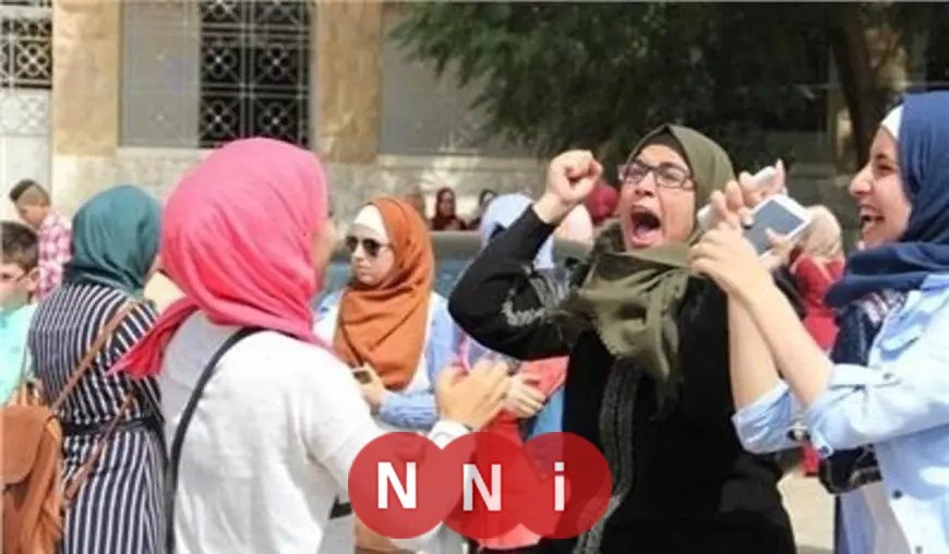 نتيجة الثانوية العامة 2025 برقم الجلوس متاحة الآن عبر رابط مباشر وسريع