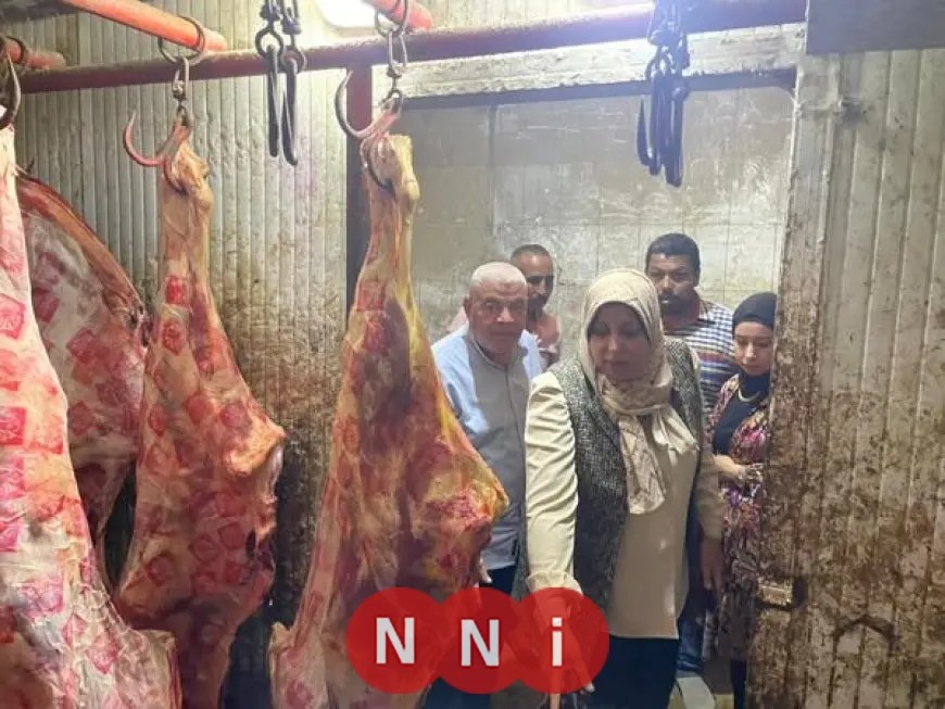 محافظ المنوفية: ضبط 5 أطنان من اللحوم مذبوحة خارج المجازر في قويسنا
