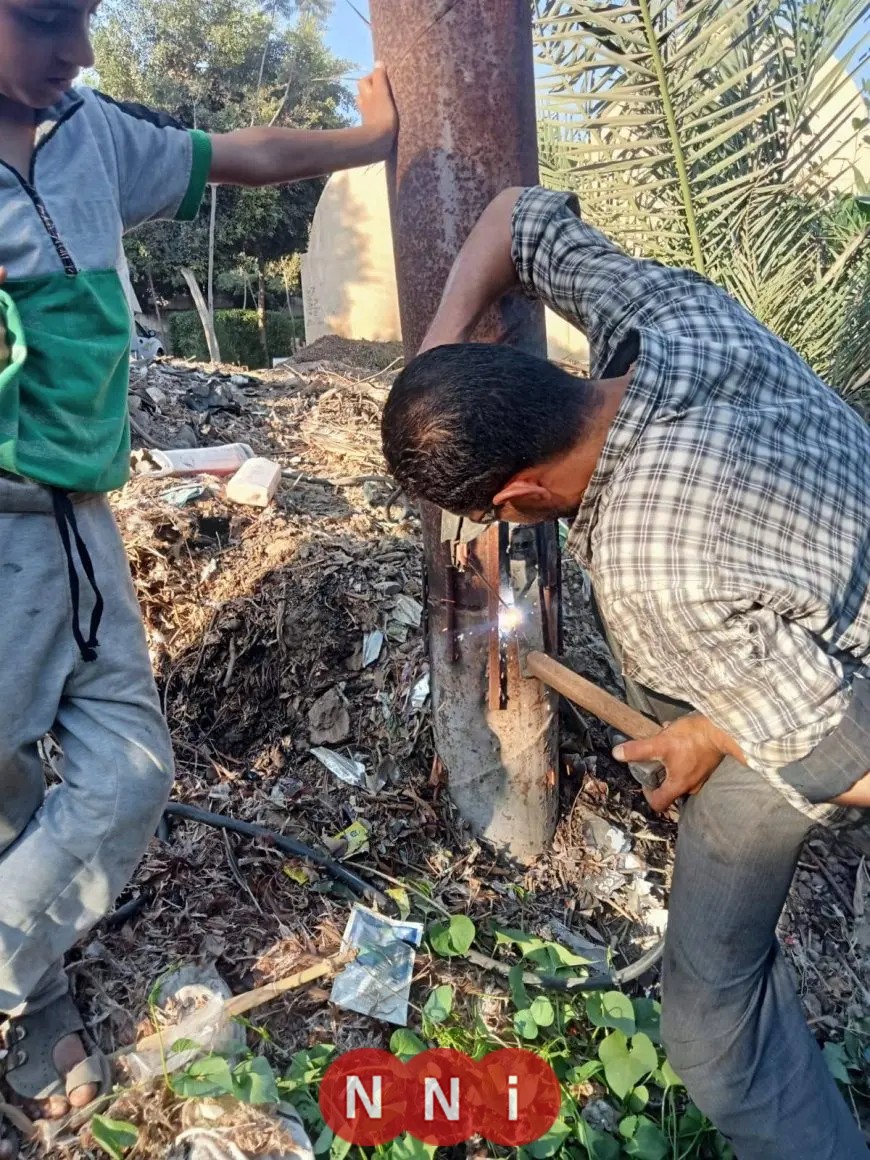 استجابة سريعة من محافظة المنوفية لشكاوى المواطنين.. إصلاح أعمدة الإنارة الكهربائية