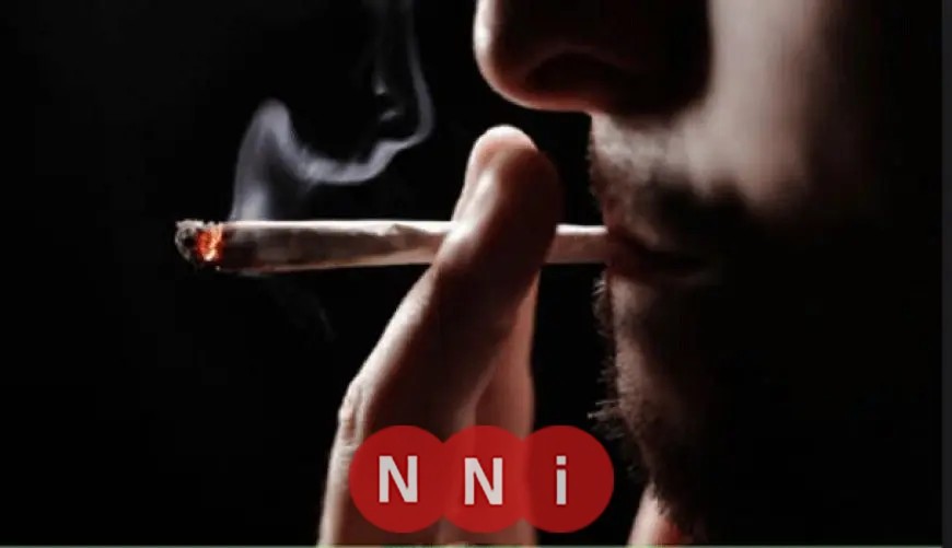 تباين الآراء بعد فتوى سعاد صالح حول جواز استخدام الحشيش.. صندوق مكافحة الإدمان يشرح الواقع