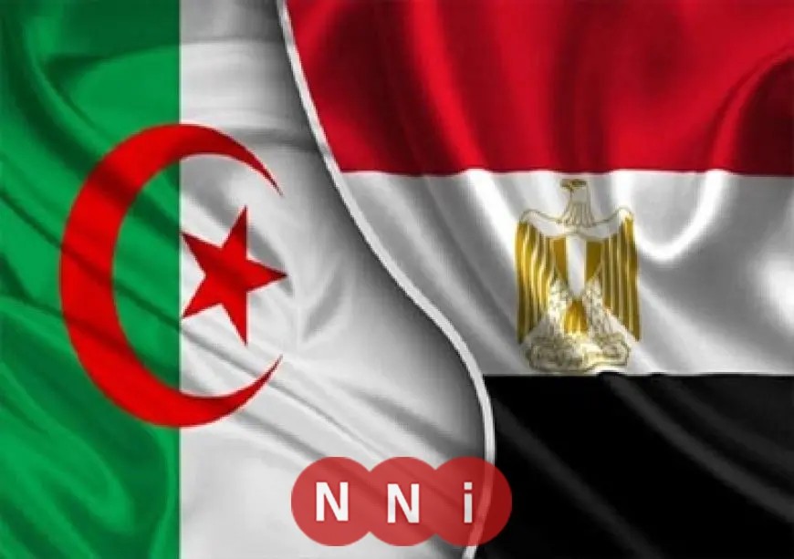 مصر والجزائر تبحثان العلاقات الثنائية والقضايا الإقليمية والدولية