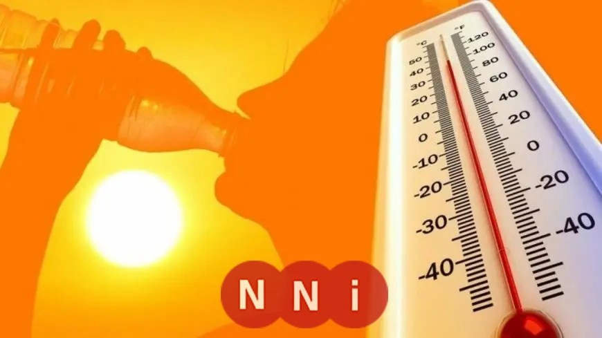 الأرصاد الجوية: انخفاض تدريجي في درجات الحرارة مع تسجيل القاهرة 35 درجة