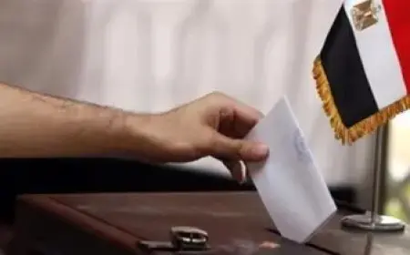 بدء تصويت المصريين في الخارج لانتخابات مجلس الشيوخ 2025