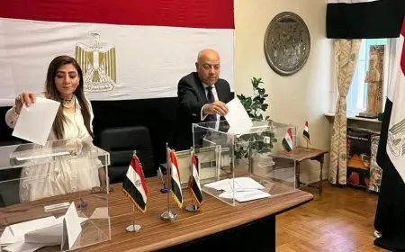 استمرار تصويت المصريين في النرويج لانتخابات مجلس الشيوخ 2025