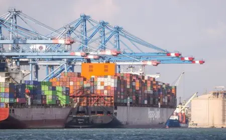 استقبال أكثر من 41 ألف طن من القمح في ميناء دمياط لتعزيز مخزون السلع الاستراتيجية