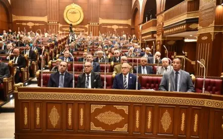 عضو المجلس القومي لحقوق الإنسان يعلن عن آخر التحضيرات لانتخابات مجلس الشيوخ