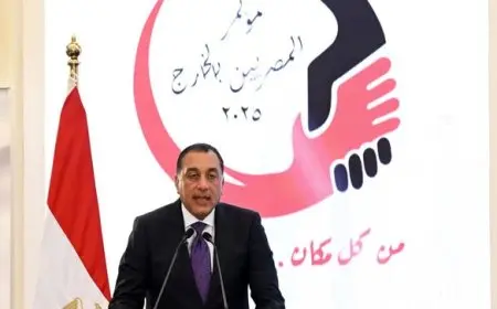 رئيس الوزراء للمصريين بالخارج: أهمية بالغة لرعاية المصريين في الخارج من قبل الدولة