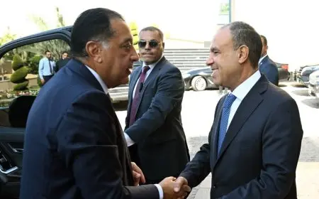 رئيس الوزراء يفتتح النسخة السادسة من مؤتمر المصريين في الخارج