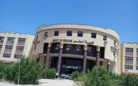 نتيجة تنسيق المرحلة الأولى 2025.. النسب المئوية لكليات القمة للشعبتين العلمية والأدبية