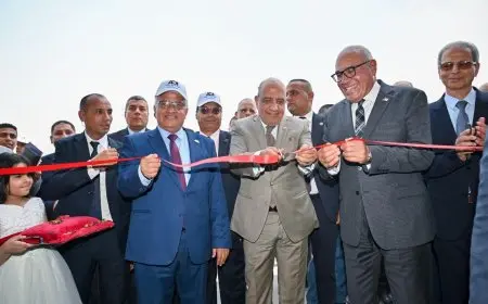 رئيس الهيئة العربية ووزير الكهرباء يفتتحان خط إنتاج أبراج الكهرباء عالية وفائقة الجهد بمصنع الطائرات