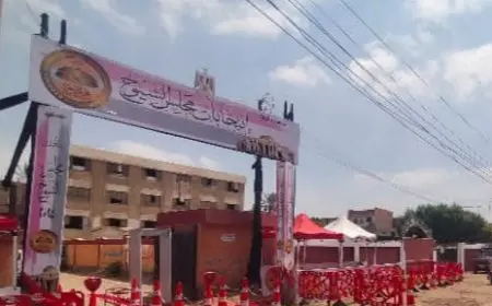 دعوة محافظ الجيزة للمواطنين للمشاركة بفاعلية في انتخابات مجلس الشيوخ