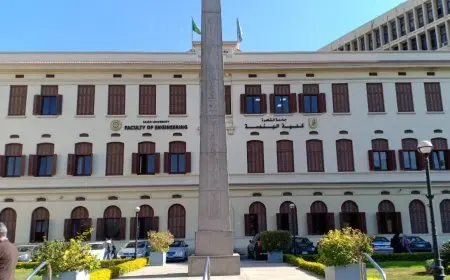 نتائج تنسيق المرحلة الأولى 2025 والحدود الدنيا لكليات الهندسة.. الوادي الجديد بـ 287.5 درجة