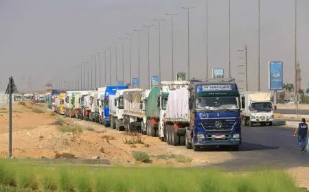 أحمد موسى: تكلفة المساعدات المصرية للأشقاء في غزة بلغت حوالي 1 مليار دولار