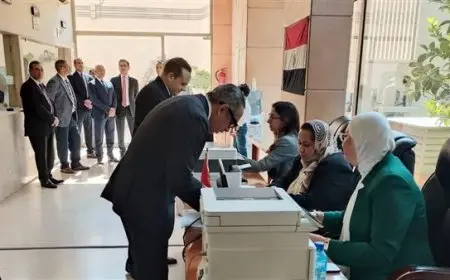 بدء انتخابات مجلس الشيوخ في أجواء من الاستعدادات الكبيرة وتأمين شامل