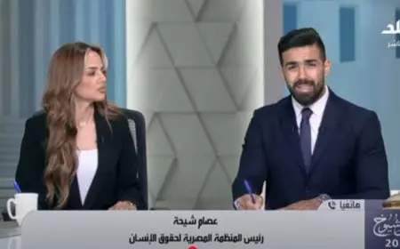 دور المنظمة المصرية لحقوق الإنسان في مراقبة الانتخابات.. توضيحات عصام شيحة