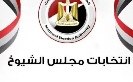 100 عضو يتم تعيينهم من قبل رئيس الجمهورية.. اطلع على شروط التعيين في مجلس الشيوخ