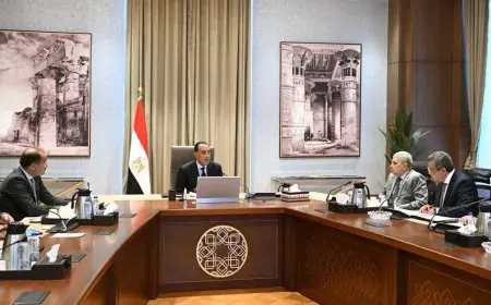 مدبولي يتناول خيارات إعادة هيكلة المؤسسات الاقتصادية