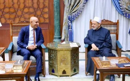 شيخ الأزهر ووزير التعليم يؤكدان على أهمية استعادة مكانة المدرسة الحكومية