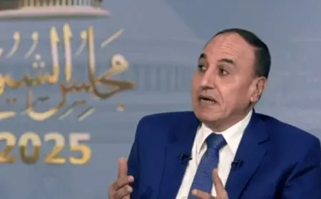 عبدالمحسن سلامة: الدعوات لإلغاء مجلس الشيوخ «غير صحيحة» وتقلل من التجربة الديمقراطية