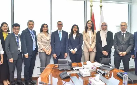 مصر وفيتنام تسعيان لتعزيز التعاون الاقتصادي وزيادة الاستثمارات المتبادلة