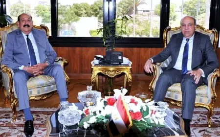 وزير الطيران المدني يناقش مع اتحاد المصريين في أمريكا تعزيز خدمات النقل الجوي للجالية