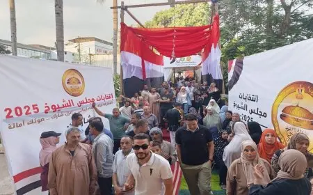 أحمد موسى: تمديد فترة التصويت في 10 لجان بالقاهرة نظراً للإقبال الكثيف