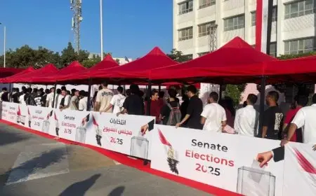 طنطا تحتفل بانتخابات الشيوخ بحضور شبابي وتنظيم أمني متقن