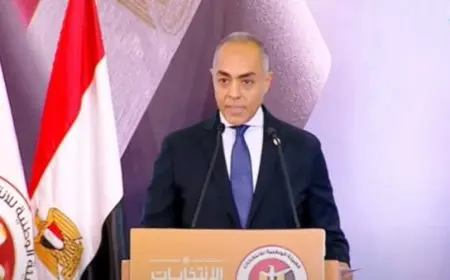 رئيس الهيئة الوطنية للانتخابات: فتح اللجان في موعدها في اليوم الثاني من انتخابات الشيوخ