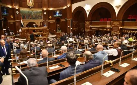 عمر الغنيمي: شباب الإسكندرية صنعوا إنجازًا عظيمًا في اليوم الأول لانتخابات مجلس الشيوخ