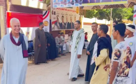 إقبال كثيف على التصويت في انتخابات الشيوخ بالدقي قبيل إغلاق باب الاقتراع