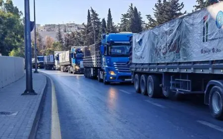 الأردن: مستوطنون إسرائيليون يعتدون على قافلة مساعدات أردنية متوجهة إلى غزة