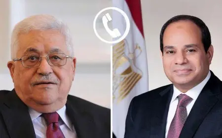 الرئيس السيسي ي reiterates رفض مصر القاطع لتهجير الفلسطينيين من أراضيهم