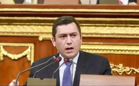 صناعة النواب: استراتيجية الحرف اليدوية لتعزيز التصنيع المحلي